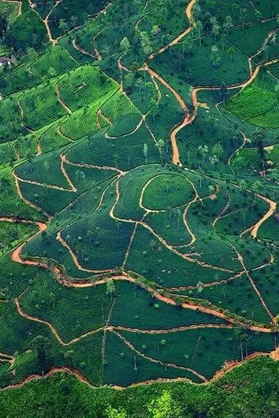 骨灰级干货史上最全海岛签证汇总 (骨灰级海岛自由行签证)