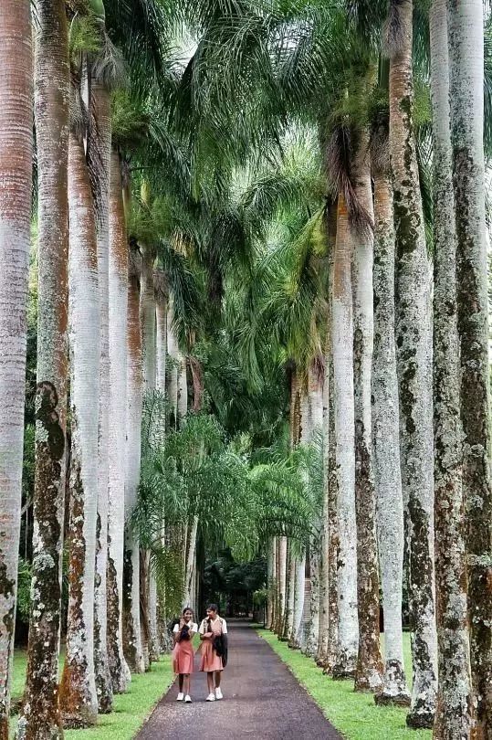 骨灰级干货史上最全海岛签证汇总 (骨灰级海岛自由行签证)