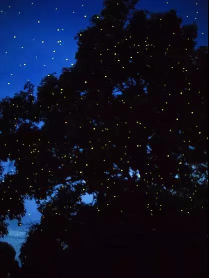 夏天一定要去一次沙巴吗,什么时候去沙巴旅游最适宜