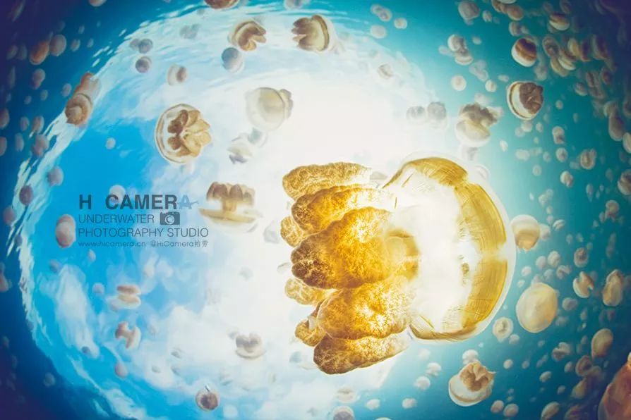 骨灰级干货史上最全海岛签证汇总 (骨灰级海岛自由行签证)