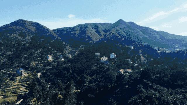 西施最爱的零食，恐龙时代已经存在，找遍整个中国才找到
