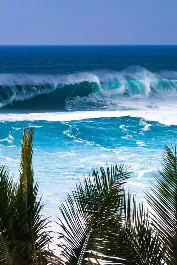 骨灰级干货史上最全海岛签证汇总 (骨灰级海岛自由行签证)