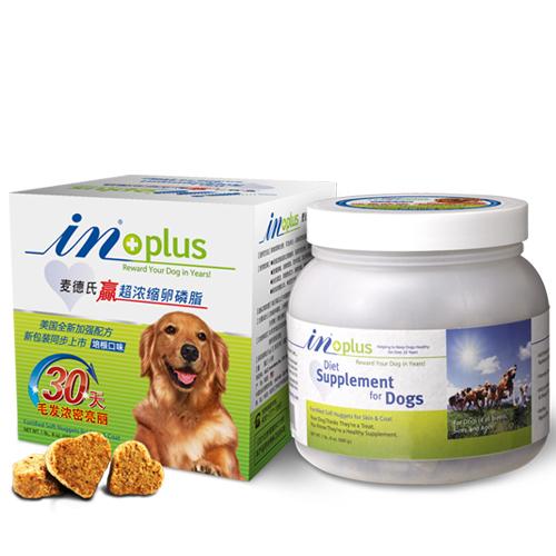 拉布拉多犬喂养,拉布拉多犬幼犬正确的喂养方式