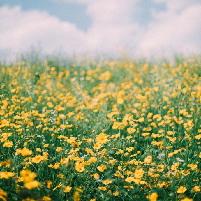 情感咨询｜栗子姐每日情感问答（0306）