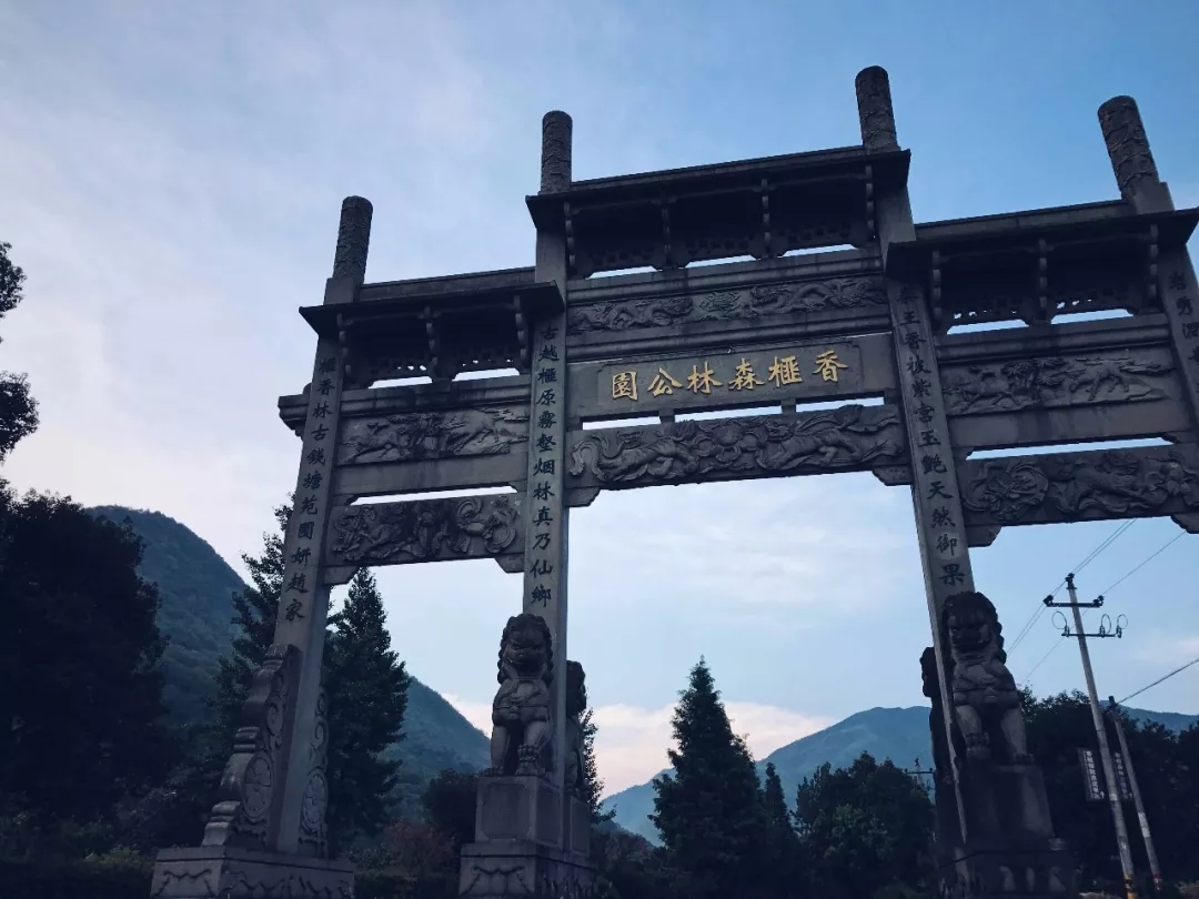 西施最爱的零食，恐龙时代已经存在，找遍整个中国才找到