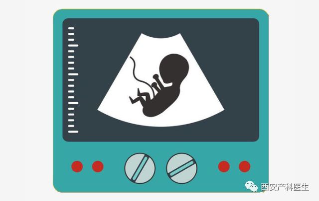 确认早孕为什么要停二甲双胍,多久可以做b超确定是否早孕