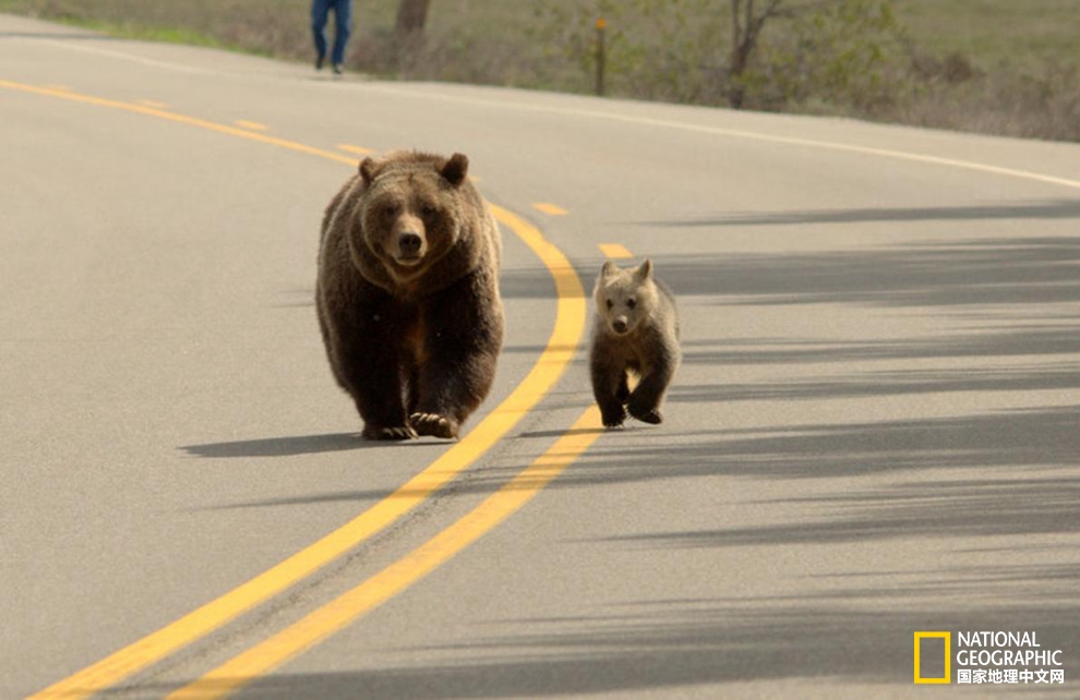 美国死而复生事件,美国死而复生电影评论