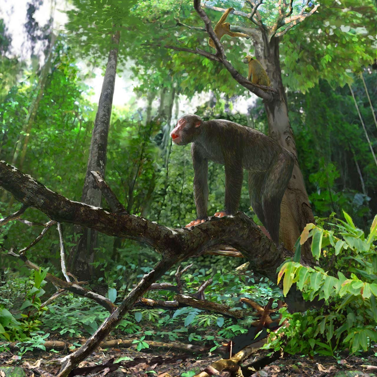 肥胖带来的痛风,肥胖引发的痛风只能靠减重来治疗