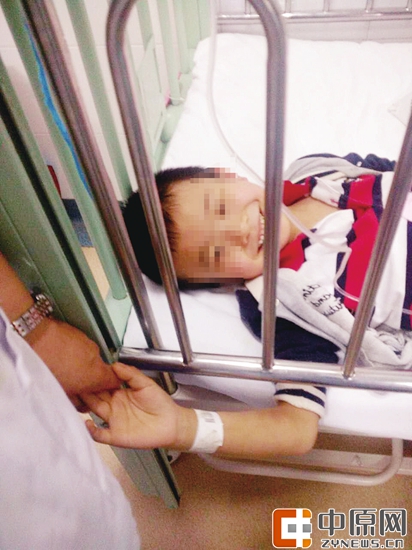 新生儿病房内的袋鼠妈妈,90后袋鼠妈妈