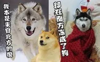 太精辟！在长沙生活的26种神奇体验！你在长沙十几年可能都不知道....