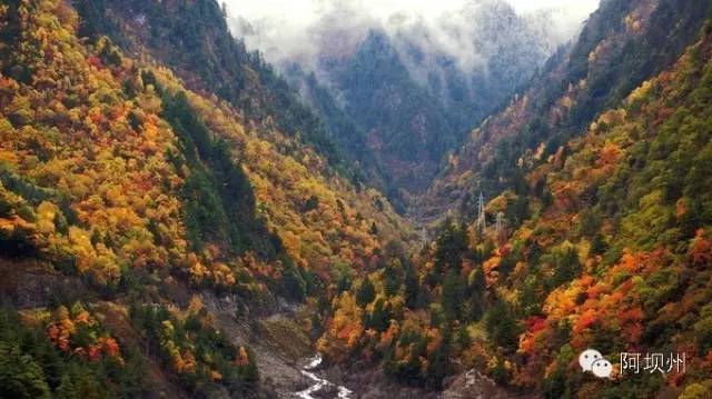 512汶川地震十二年铭记历史,缅怀汶川512地震