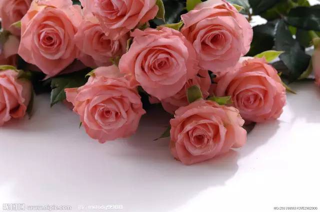 第102期毕业季到啦！到检察院工作怎么样？青检大咖为你解答