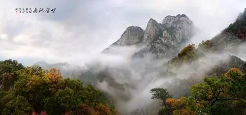 霍建华如何向林心如表白,霍建华520表白林心如