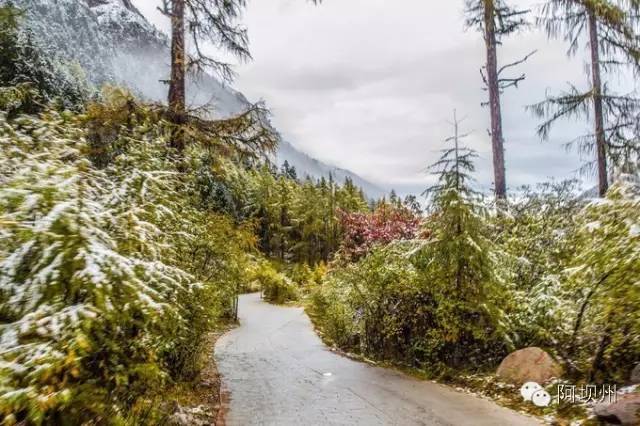 512汶川地震十二年铭记历史,缅怀汶川512地震