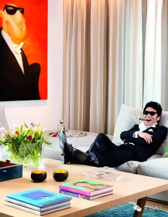 安邸ad名人豪宅,安邸ad好看吗