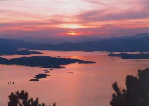 霍建华如何向林心如表白,霍建华520表白林心如