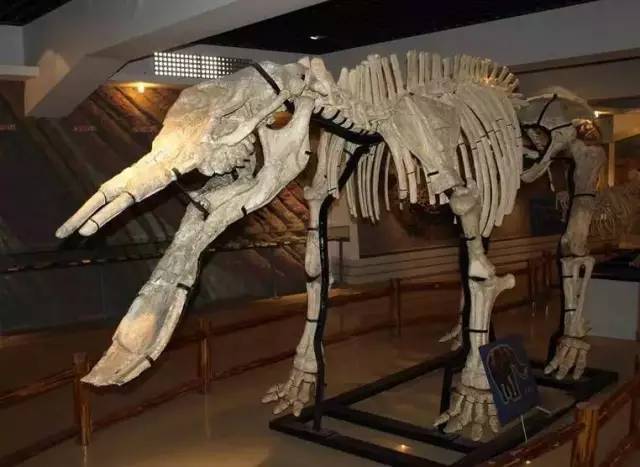 武汉下雨天带娃好去处,武汉雨后适合去哪里玩