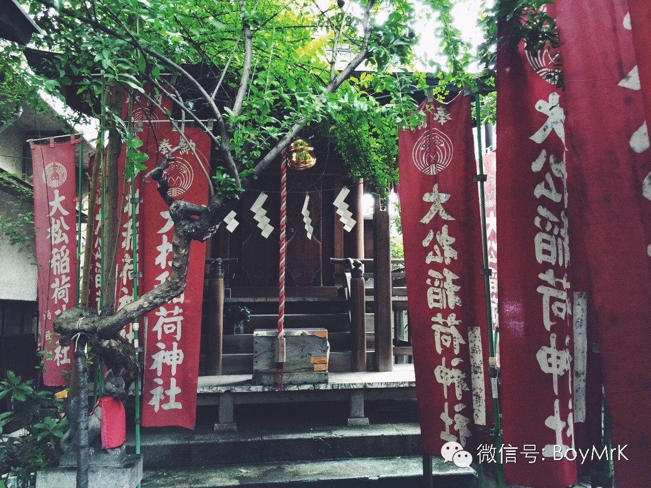 私享丨在没有爱情故事的东京，度过悠长假期,内含福利