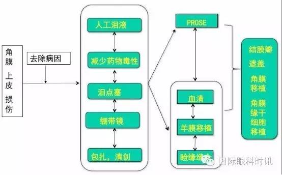 角膜会2016陈百华教授：角膜上皮损伤相关疾病的治疗策略