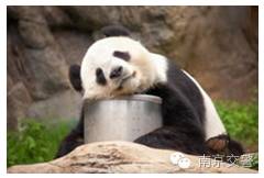 涨姿势啦被电动自行车撞了，怎么找保险公司赔？