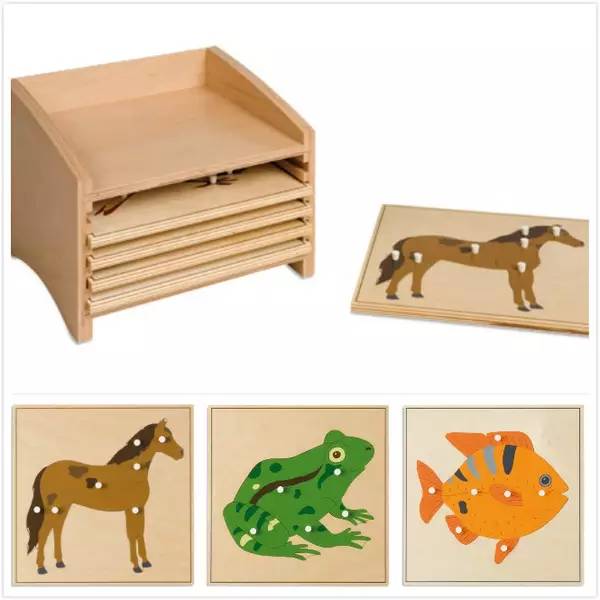 蒙特梭利幼儿园都有什么,为何要送孩子去蒙特梭利幼儿园