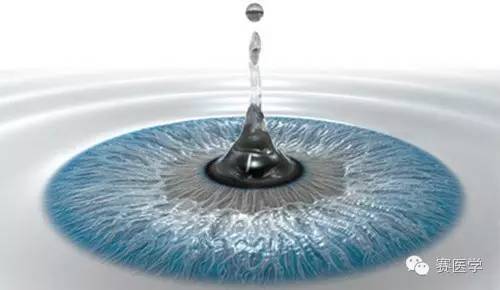 你是我的眼睛,你是我的眼全集完整版