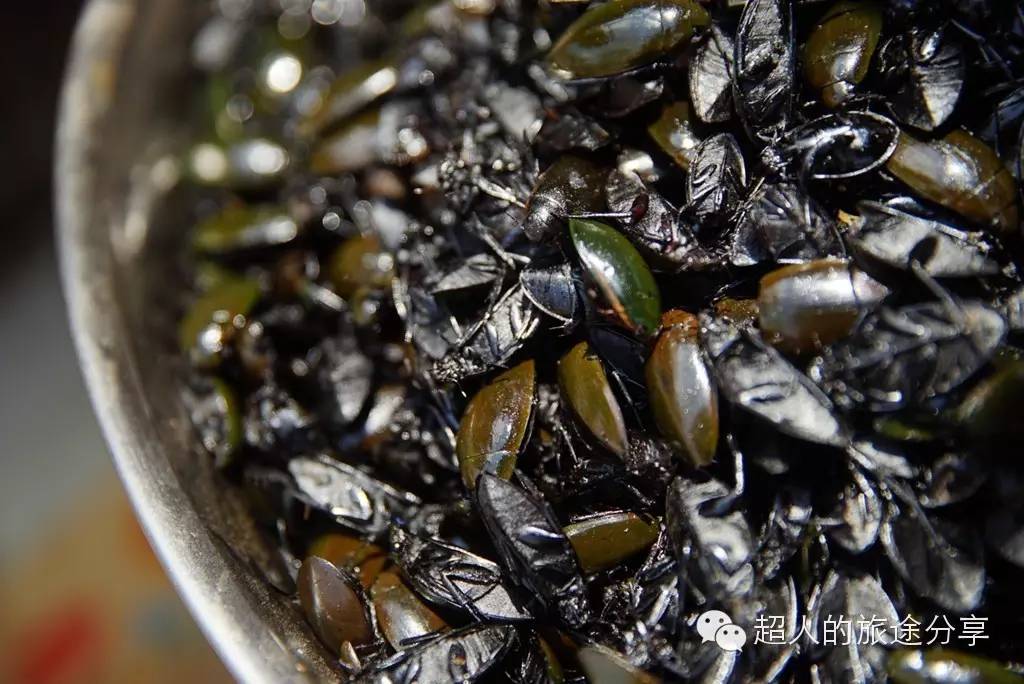 越南胡志明奥黛店,在胡志明街头偶遇穿奥黛的美女