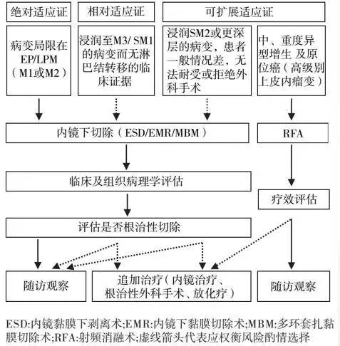 食管癌早期筛查手段,早期食管癌内镜的切除方式有哪些