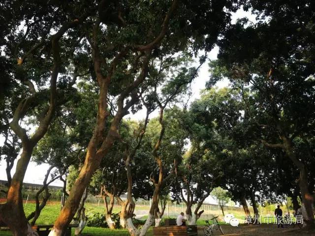 杭州西溪生态公园,西溪郊野公园好玩吗