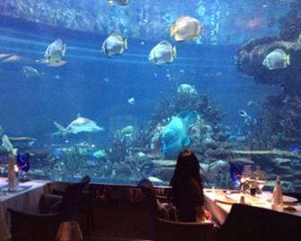 只是纯粹想分享个态势吗？不，因为穷的只剩钱了