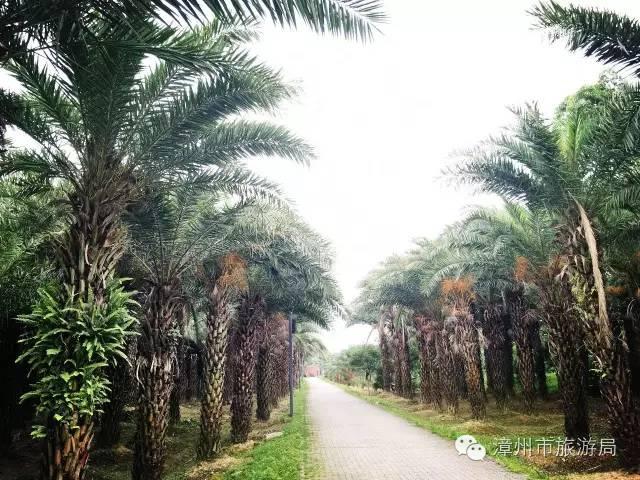 杭州西溪生态公园,西溪郊野公园好玩吗