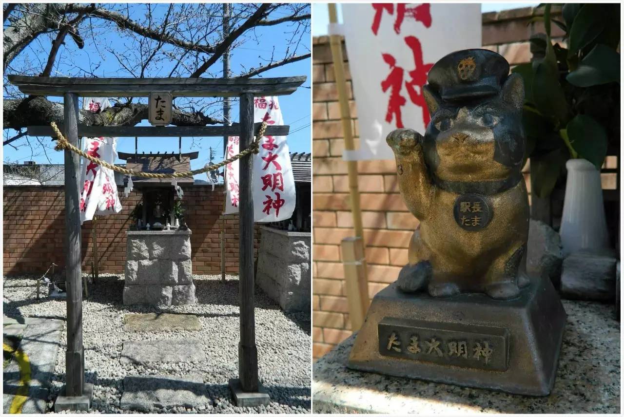 百万级帖主的“再度进击”|西日本，你不该错过这些