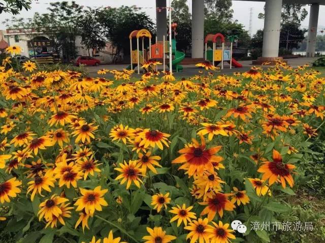 杭州西溪生态公园,西溪郊野公园好玩吗