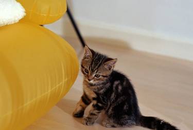 只是纯粹想分享个态势吗？不，因为穷的只剩钱了