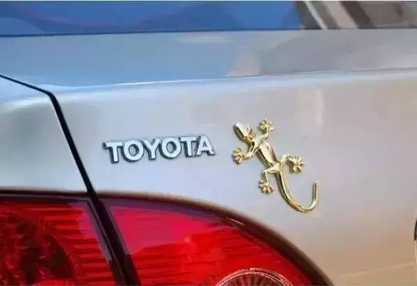 车尾贴一个壁虎是什么意思,车尾贴壁虎是什么梗