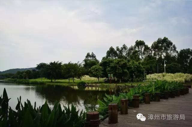 杭州西溪生态公园,西溪郊野公园好玩吗