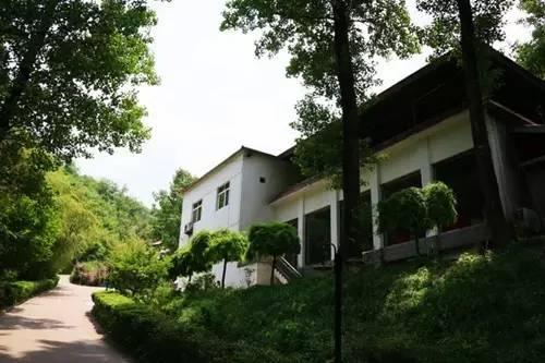 洛阳住哪个酒店好玩,洛阳酒店旅游攻略