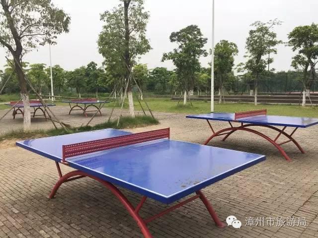 杭州西溪生态公园,西溪郊野公园好玩吗