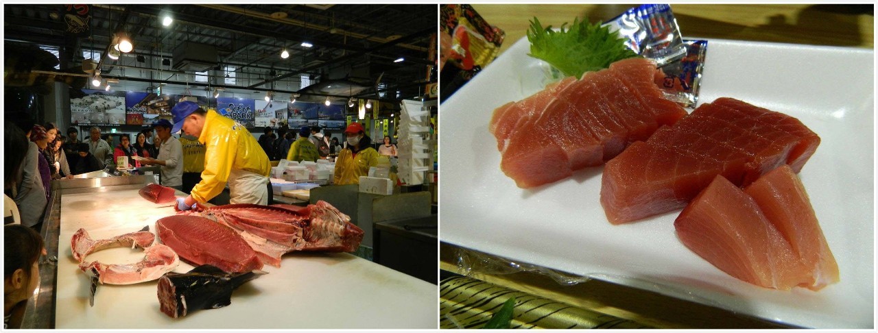 百万级帖主的“再度进击”|西日本，你不该错过这些