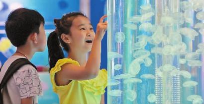 济南科技馆有水母吗,济宁科技馆水母