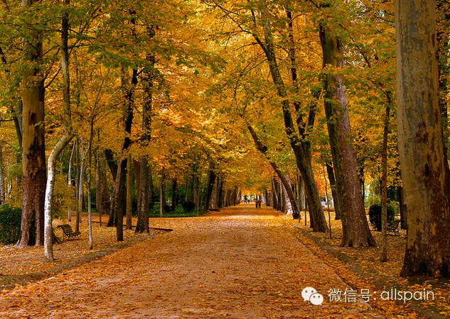 马德里怎么坐公交,马德里如何坐地铁