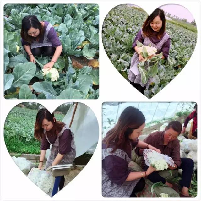 直播信阳大事件：40分钟销售两万斤！帮女郎~棒棒哒！