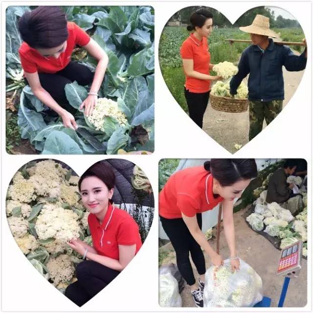 直播信阳大事件：40分钟销售两万斤！帮女郎~棒棒哒！