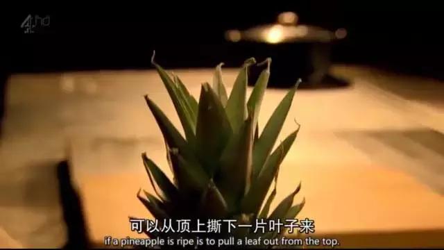 米其林大师做菜技巧图解,米其林星厨教程