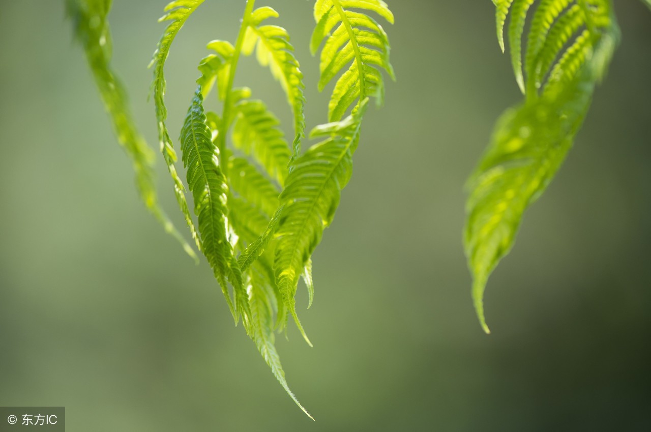 如何正确使用空调预防感冒,春季感冒怎么预防