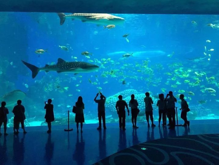 广州塔三八妇女节优惠,广州长隆欢乐世界三八妇女节