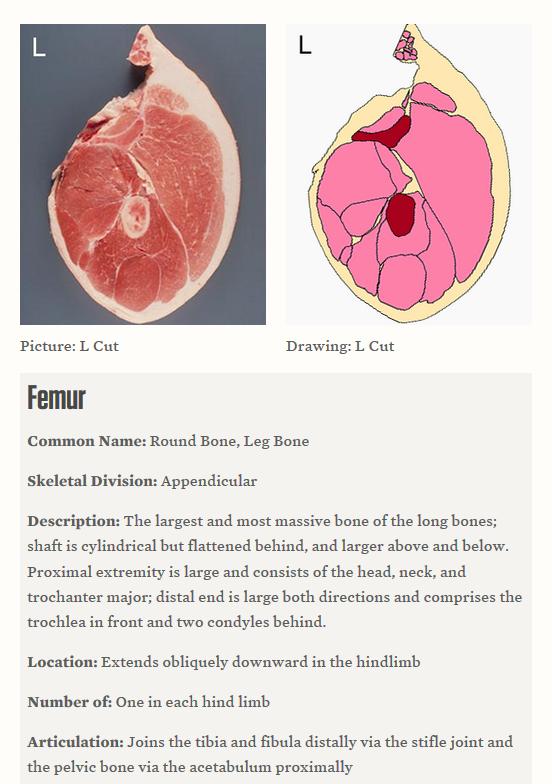 强烈安利视频大全,墙裂安利种草系列
