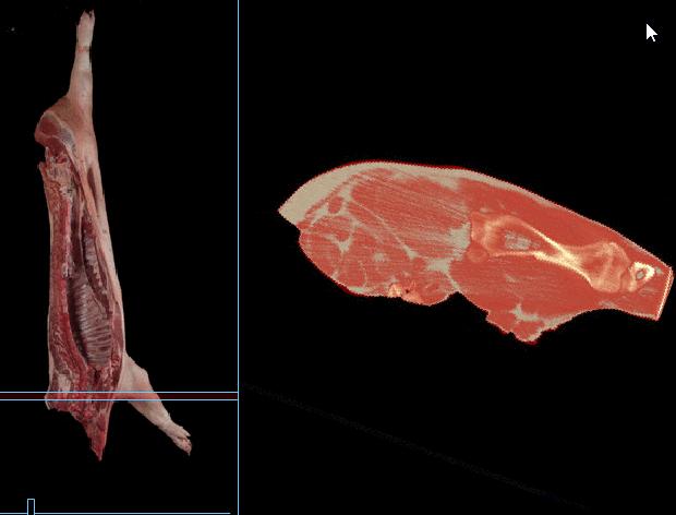 强烈安利视频大全,墙裂安利种草系列