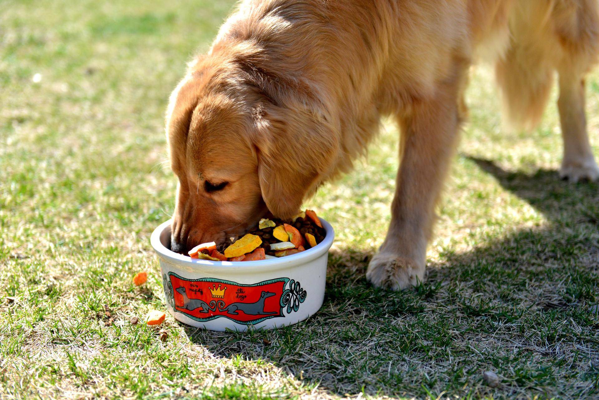 他是中国前首富，20岁前没穿过鞋，开公司36年如今事迹破千亿