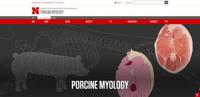 强烈安利视频大全,墙裂安利种草系列